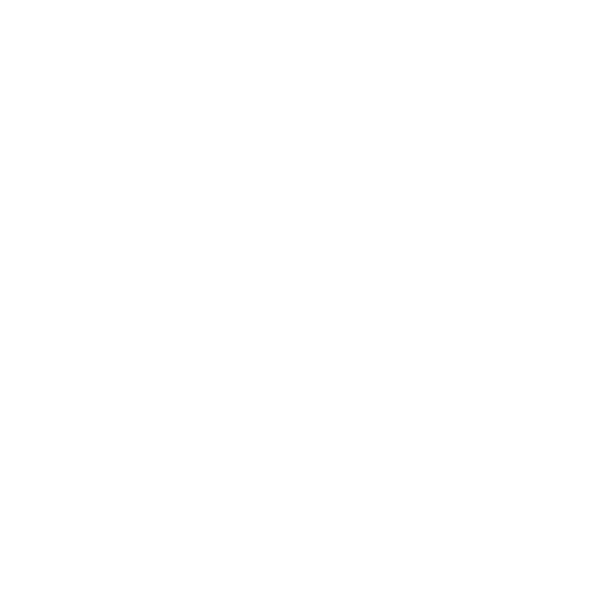 icone animation